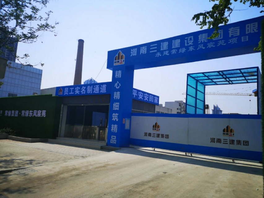 金水“孤品”，看常绿风起云涌