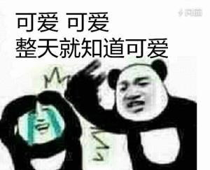 辟谣猫咪真的会记仇吗,有睾丸的猫咪是男猫还是女猫