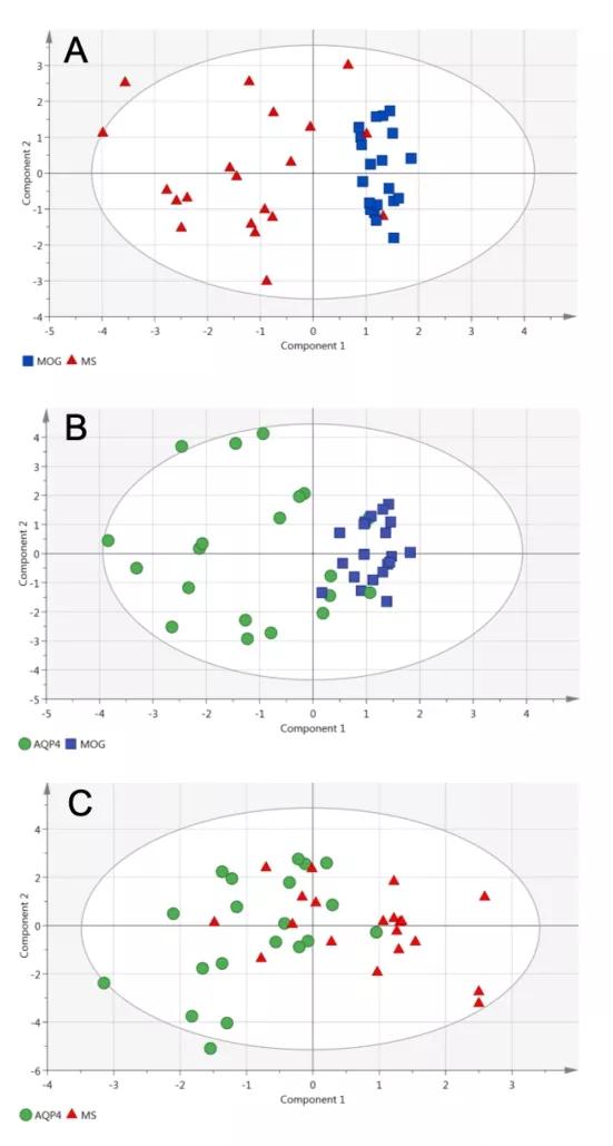 中枢神经系统脱髓鞘疾病影像学,中枢神经系统脱髓鞘疾病基因检测