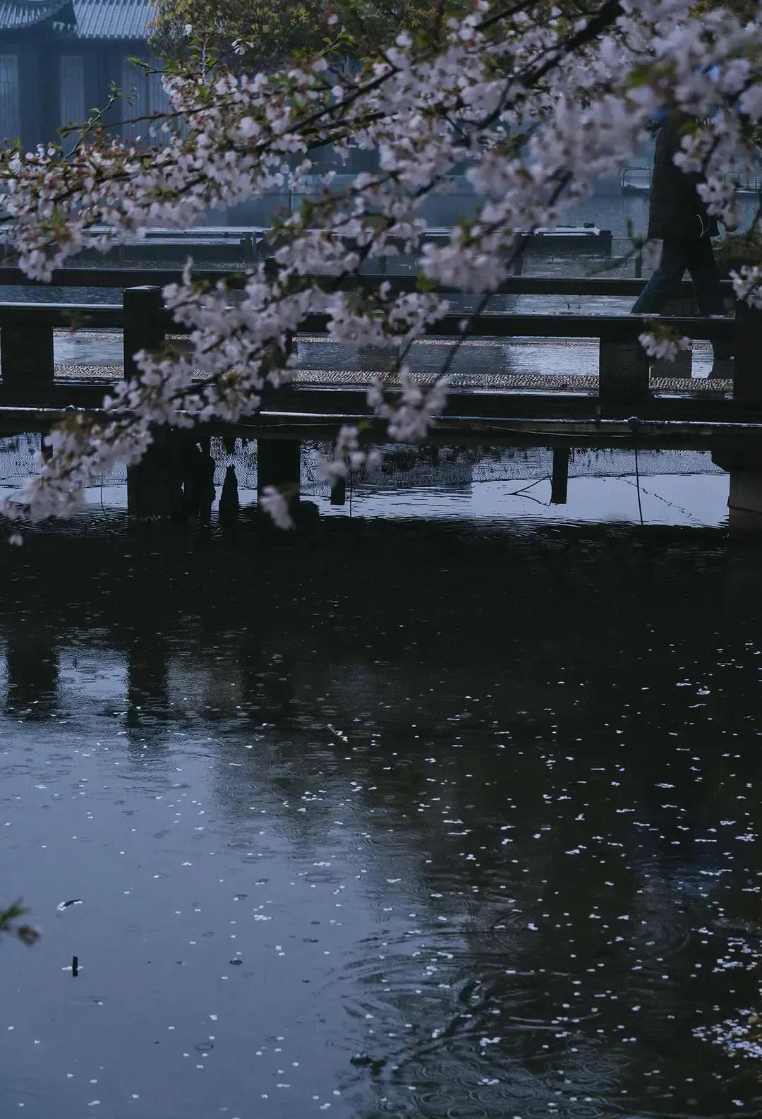 烟雨深处人家,烟雨深处的情怀