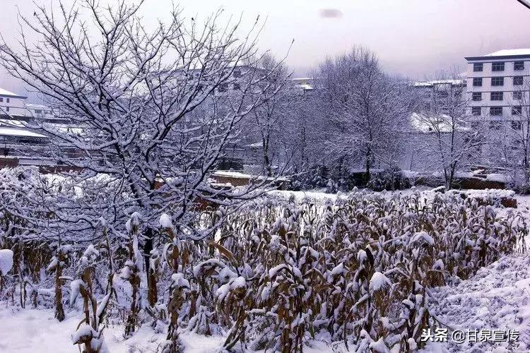 延安2019年第一次下雪是什么时候,延安初雪的时候