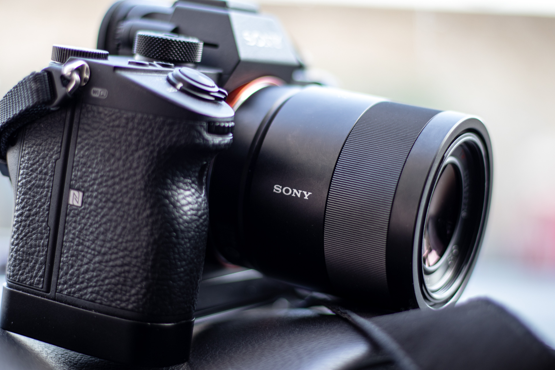 Sonnar（索纳）眼中的猫——索尼SonnarT*FE55mmF1.8ZA实拍体验