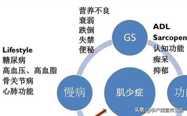 医学发展的大势所趋——营养治疗