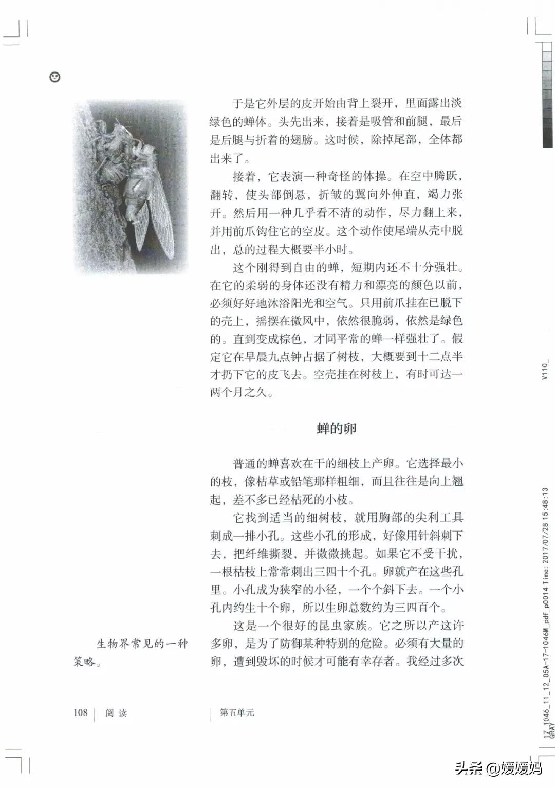 人教部编版八年级上册语文,八年级上册语文绩优学案电子课本