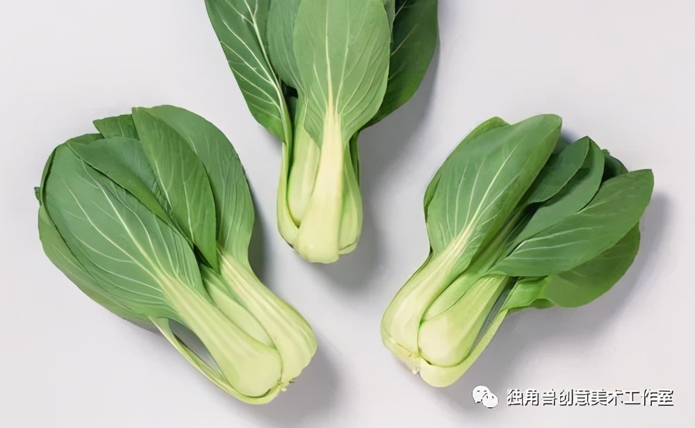 绿油油青菜绘画,蔬菜的绘画教程