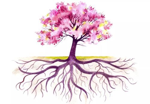 一般腰腿痛拍片能查出来吗,腰腿痛如何做诊断性治疗