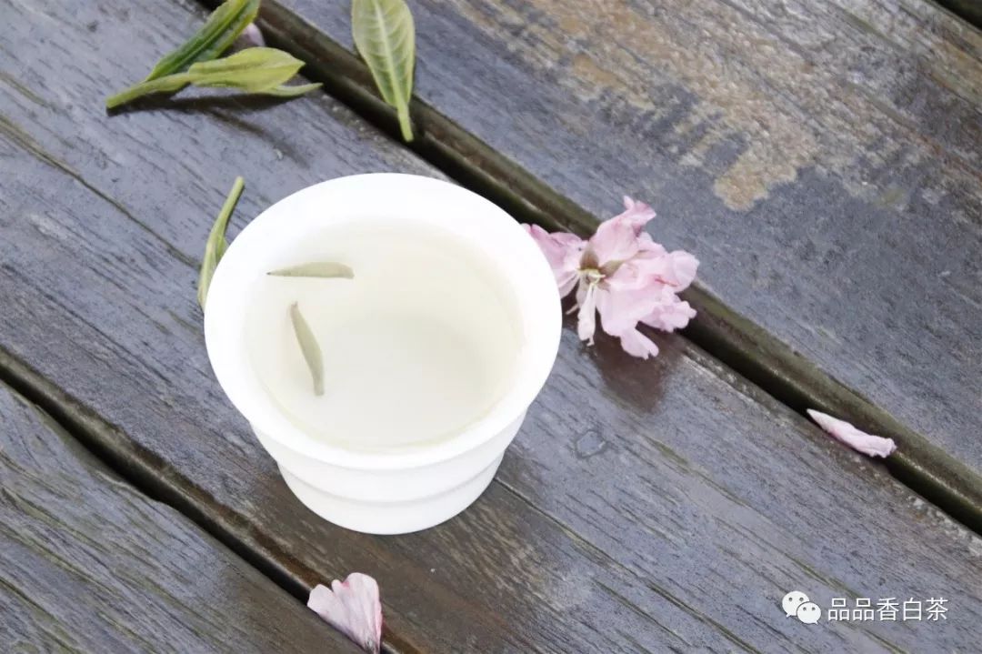 白茶有多可怕,白茶雷区