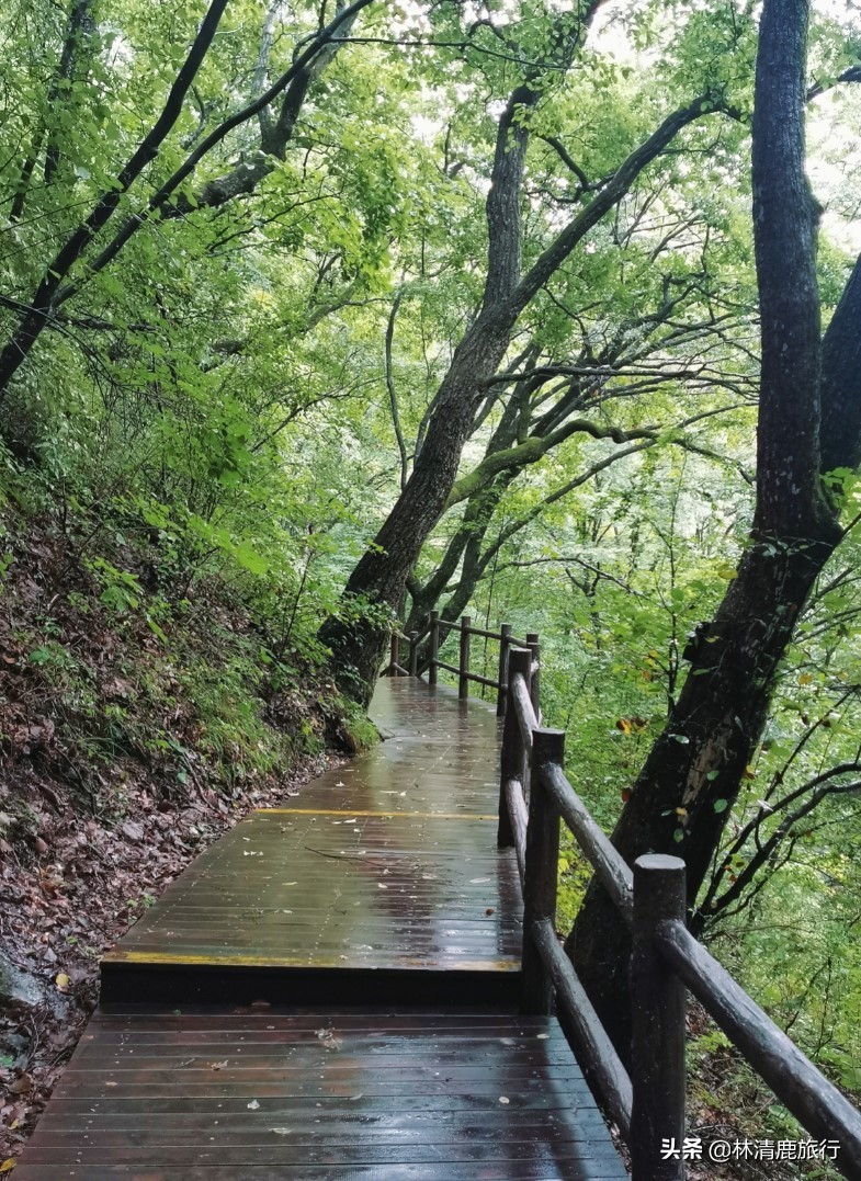 河南境内有山有水不累的景区,河南爬山玩水景点推荐