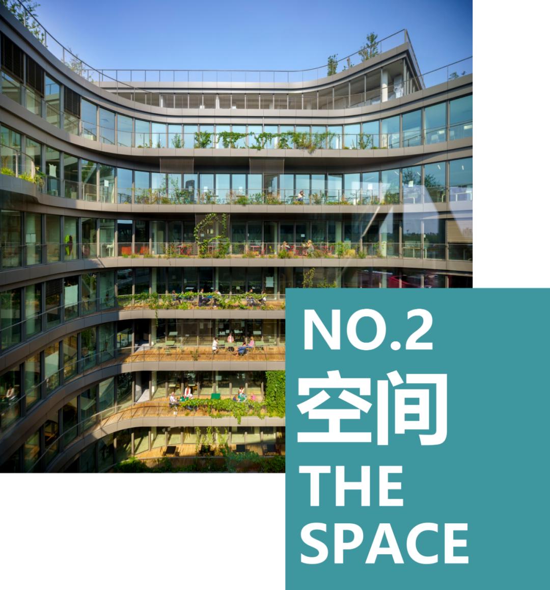 被绿植包围的大楼,被绿植围绕的空间