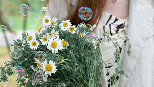 春日野餐记完整版,春日野餐记录视频