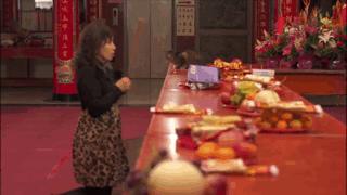 吸猫最高境界图片,吸猫最高境界完整视频