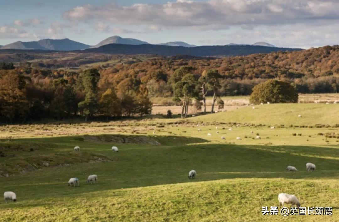 英国秋天好去处,英国秋天旅游必去的地方