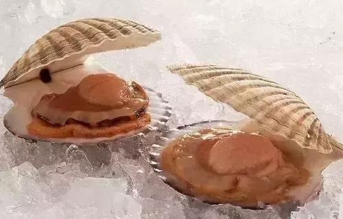 海鲜不可以吃的是哪些,各种海鲜应该吃的部位