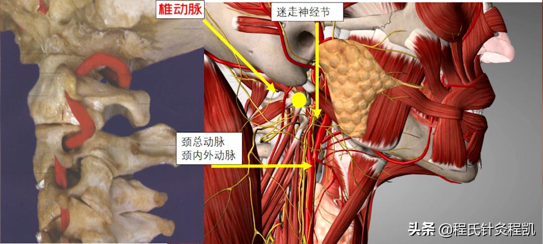 程凯养生说:头昏、眼花、耳鸣就用这个穴位