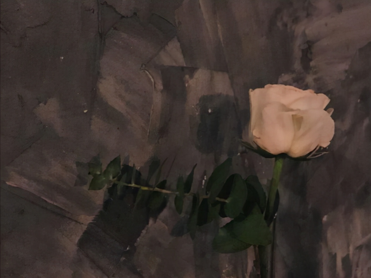 天蝎座知道的越多越心疼,天蝎座懂事让人心疼的表现