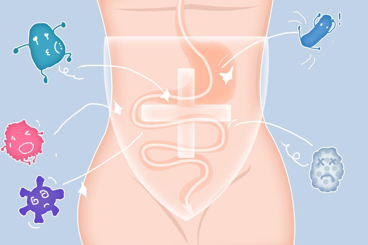 以菌治菌可以治愈哪些疾病,以菌治菌幽门螺旋杆菌