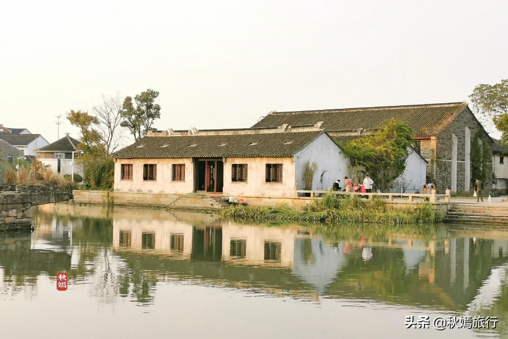 相城区北桥镇千年银杏树,苏州相城银杏打卡