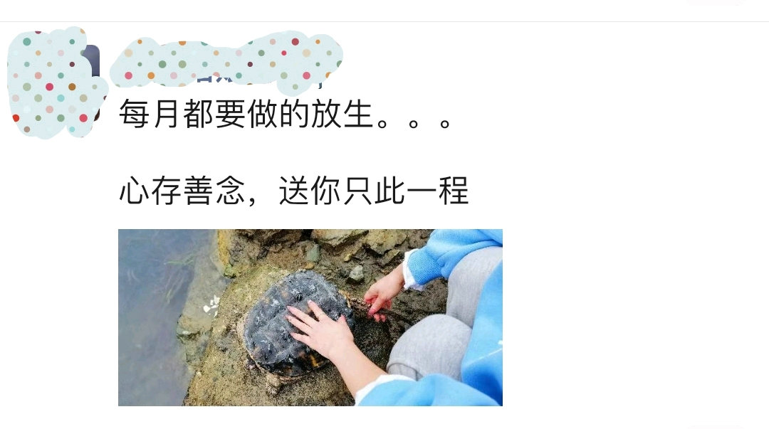 钓鱼抓到乌龟的农村小伙,在河边捡到小甲鱼小鳄龟