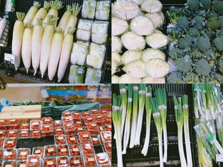 旅行社常惦记，却又被游客遗忘，这样的北海道游走之城不多了