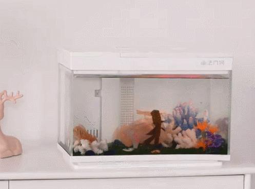 灏忕背鏅鸿兘鎶曞杺楸肩几,灏忕背绫冲鏅鸿兘楸肩几鎬庝箞鎺у埗鐏厜