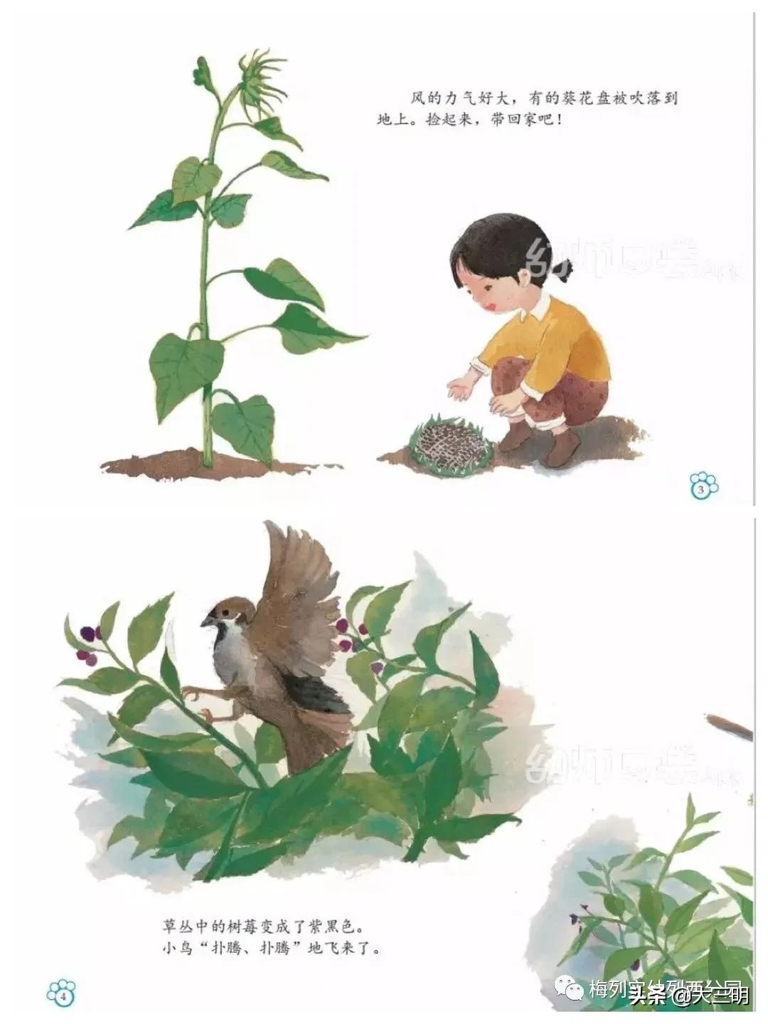 「家园齐心共战疫情」梅列实幼列西分园亲子“爱•悦课堂”中班（第四期）