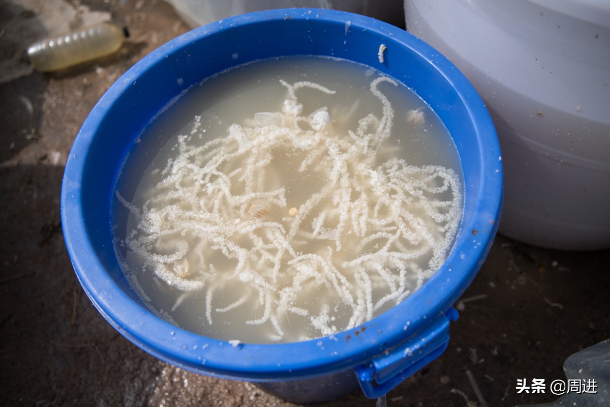 56岁搬运工,农村小伙土特产搬运工