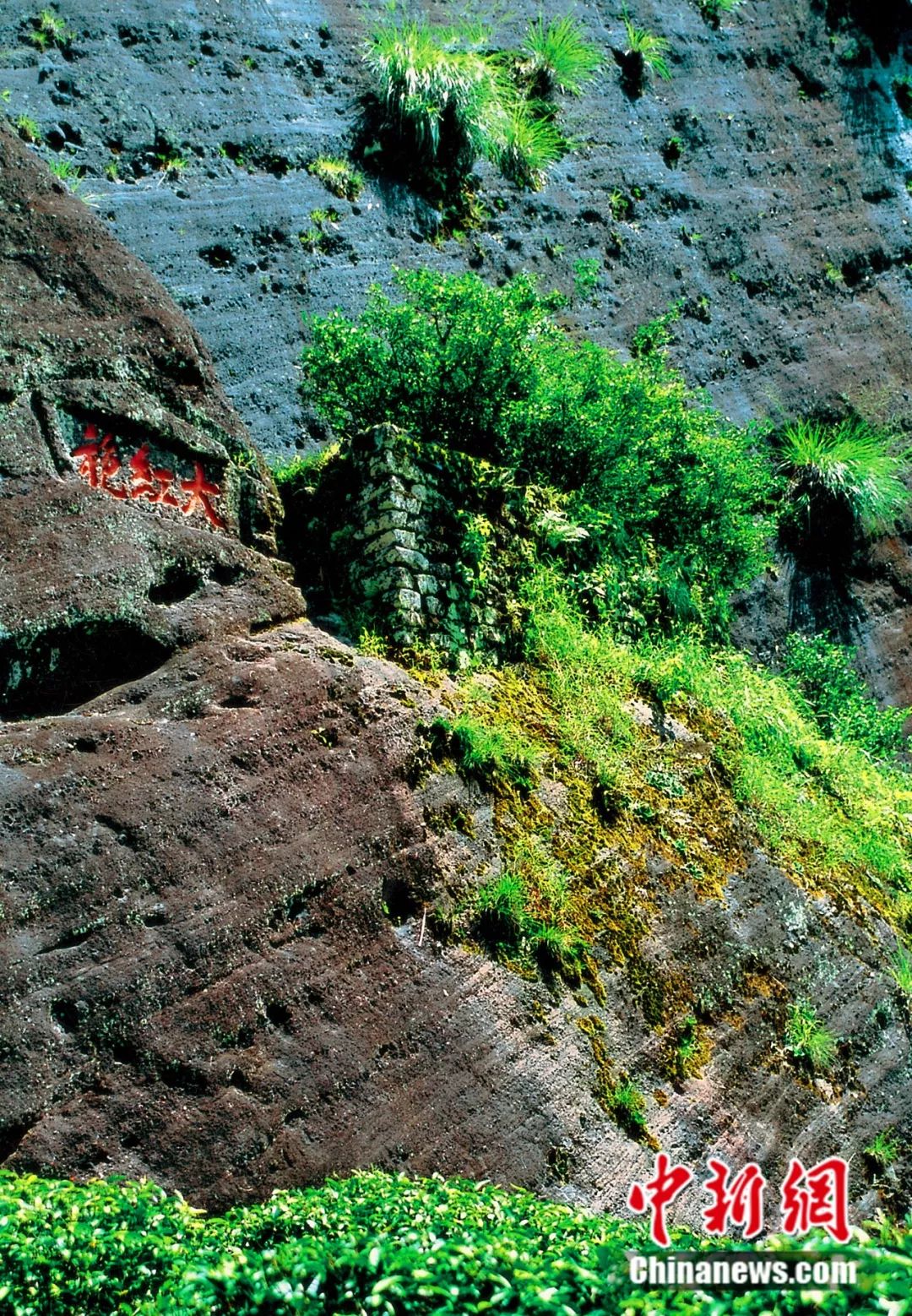 武夷山为啥名气不大,武夷山还好吗