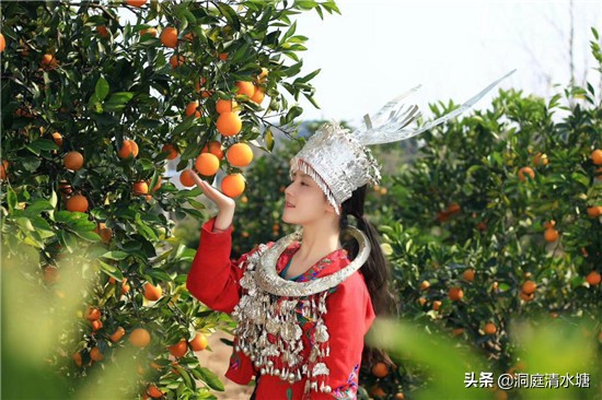 一口清甜爆汁,爆甜麻阳冰糖橙
