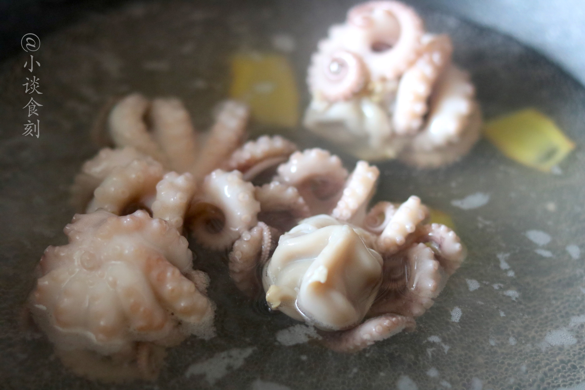 墨鱼鱿鱼乌贼怎么吃,墨鱼乌贼章鱼鱿鱼到底有什么区别