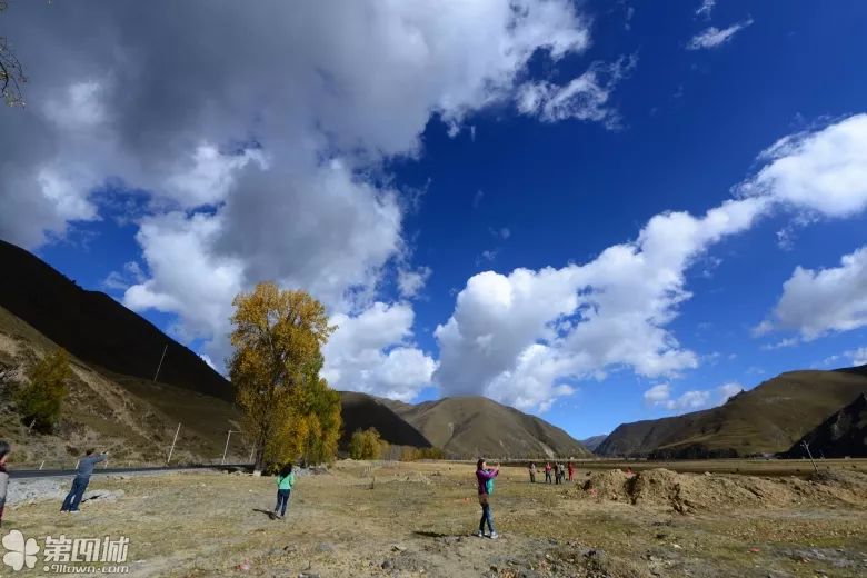 漫漫装修路，比邻有缘人（第一部分）