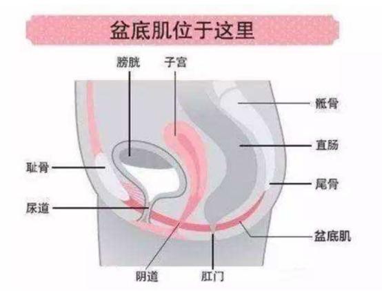 新妈妈产后便秘怎么办,产后妈妈漏尿是什么原因造成