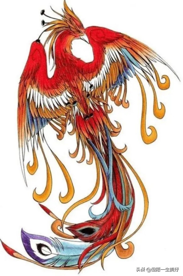 鍑ゅ嚢鏉ヤ华姘旀伅褰掑厓,鍑ゅ嚢鏉ヤ华鏄笓灞炵ぜ鐗╁悧