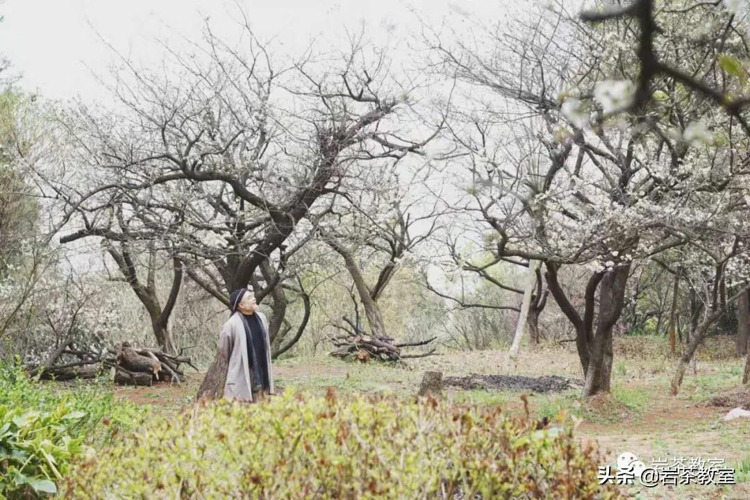 茶器之美|斑锡龙赖庆国：工匠有了精神，器物才有趣味