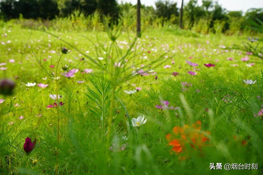 兰州民生工程最新进展,重点民生项目进展清单