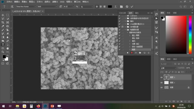 photoshop怎么给扫描电镜做标尺,用photoshop处理电镜图