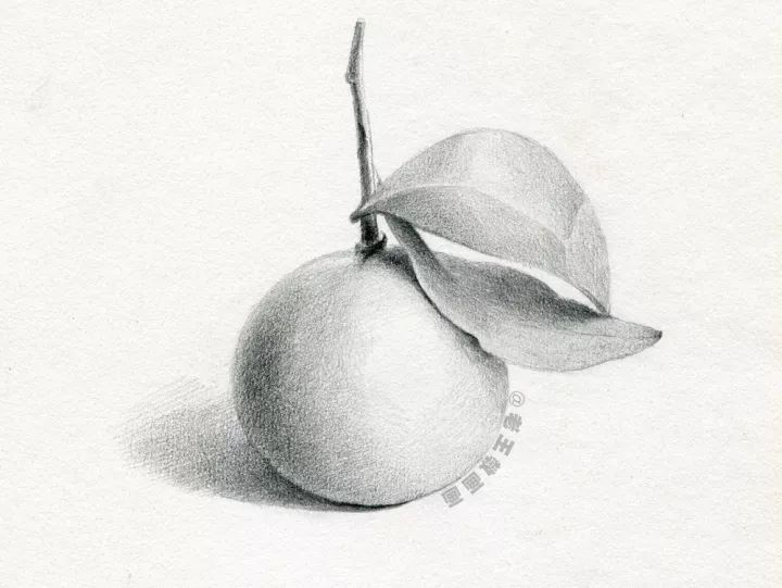 会画画的都会画素描吗,有的人说我不会画素描