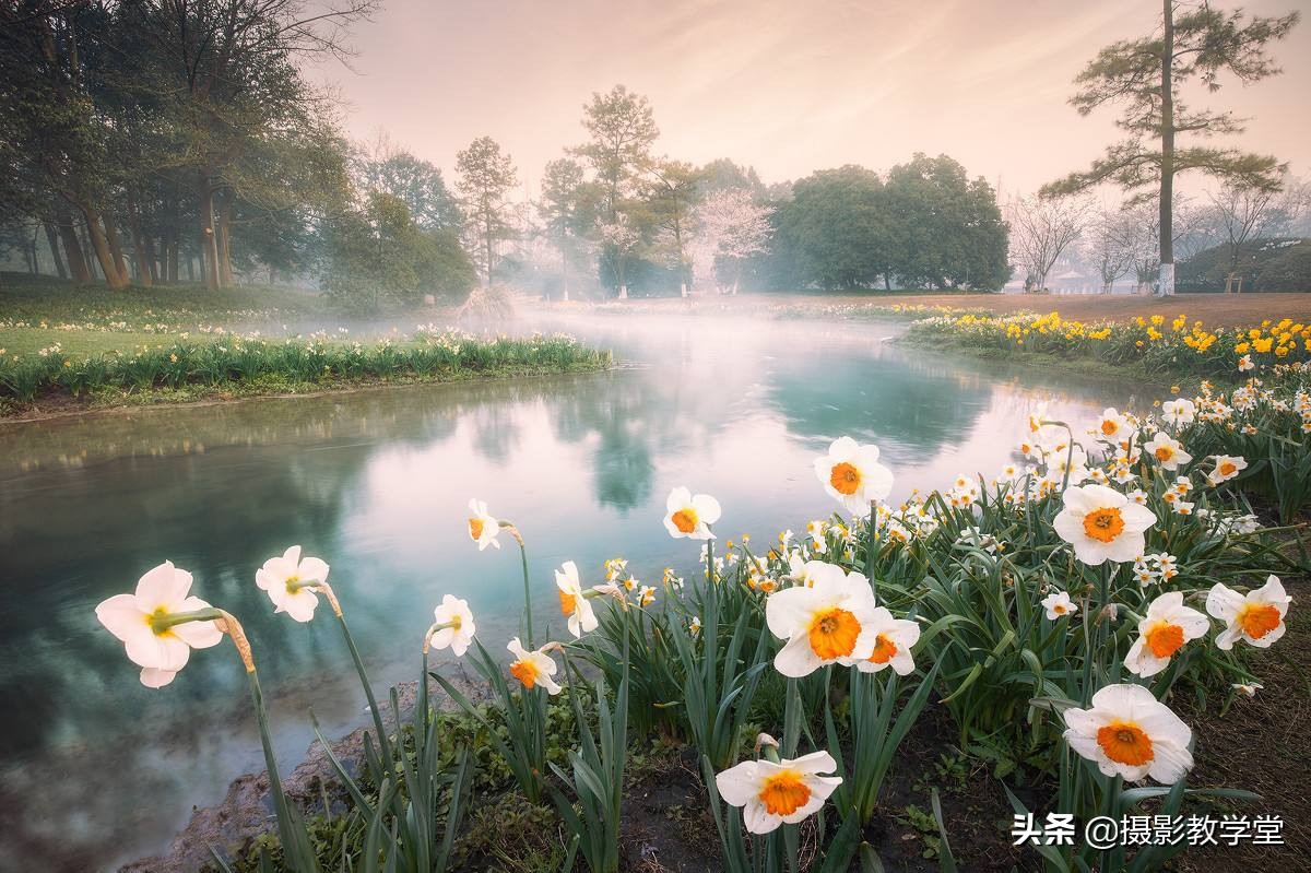 关于摄影的基础知识景深,摄影基础知识入门光圈