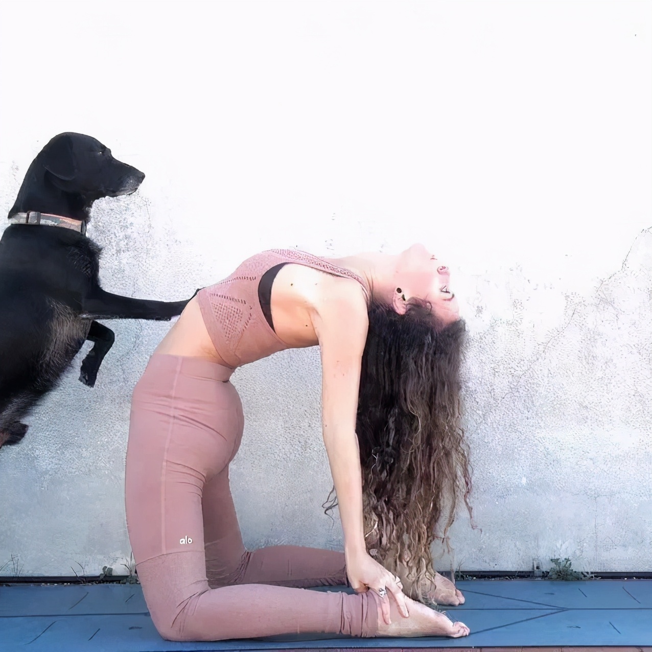 瑜伽轮式起不来动态图,瑜伽轮式手推不起来是什么原因