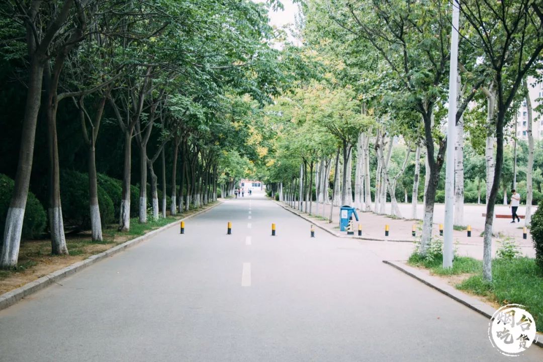 烟台大学各个餐厅,烟台大学有几家餐厅