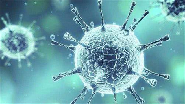 中医治狗咬药方,古代的人被狗咬了是怎么治的