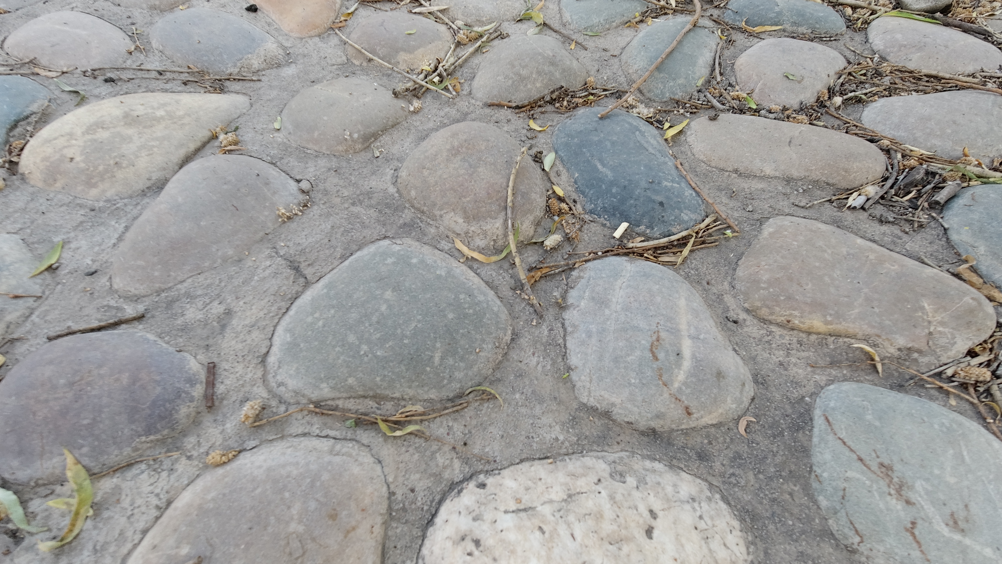 osmoaction评测,osmoaction大疆视频画质