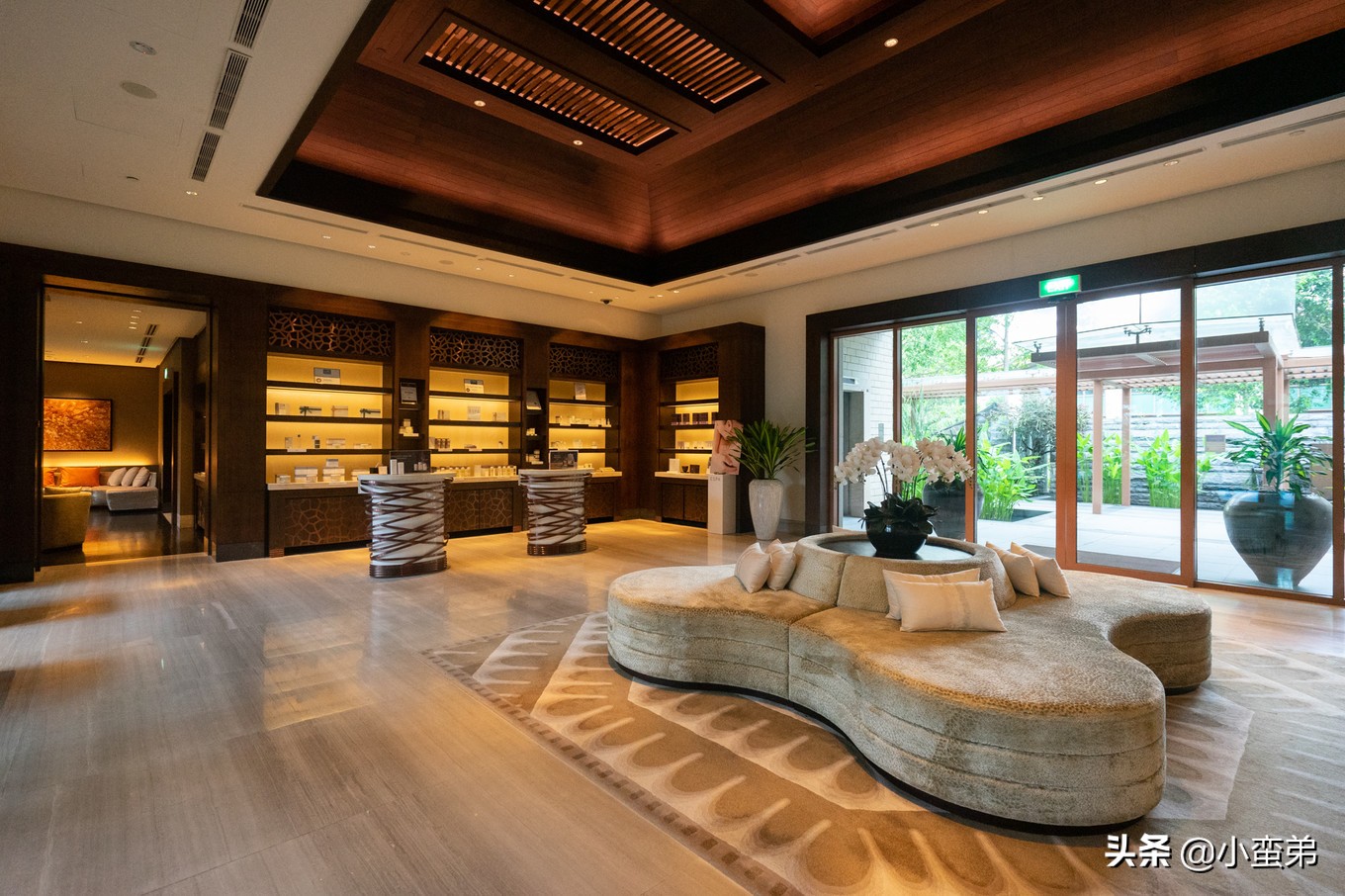 5年之许,小白逆袭重返新加坡