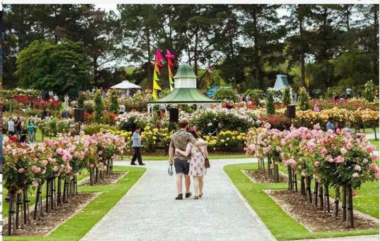 老外说howareyou真正内涵是？别用fine了：他们可不是这么说的