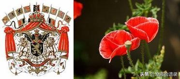 比利时是一个闷声发大财的国家吗,比利时为什么是最危险的国家