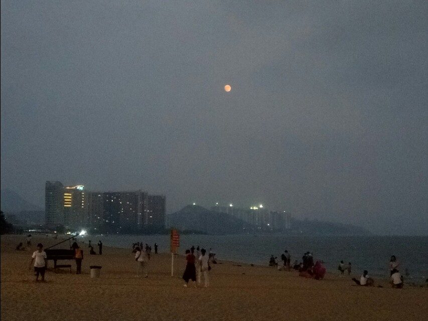 智者乐山仁者爱水如诗,智者乐山仁者爱水视频