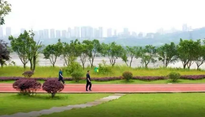 重庆巴滨路适合投资买房吗,巴滨路买房如何