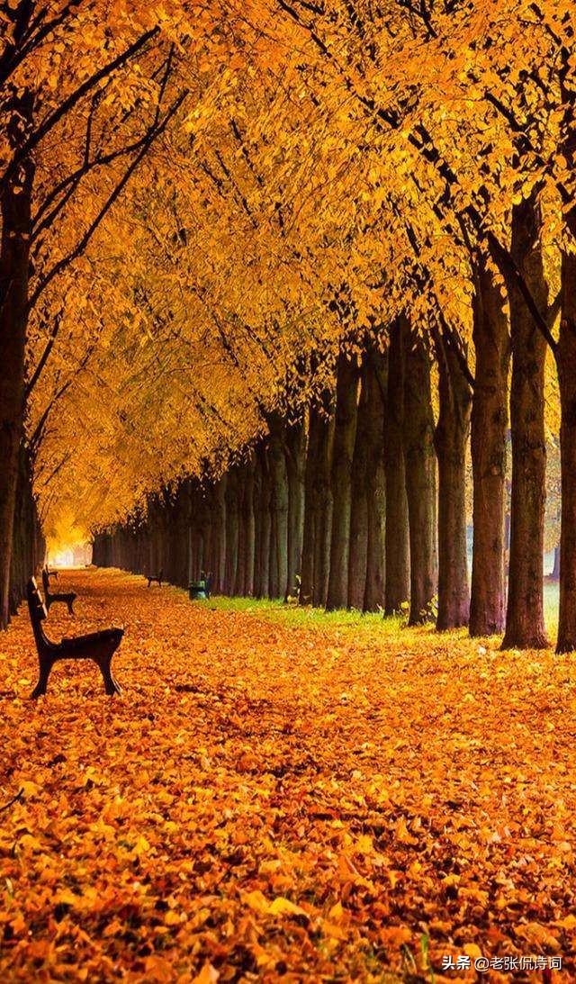 纳兰性德最出名十首诗词,纳兰性德诗词最全版解析