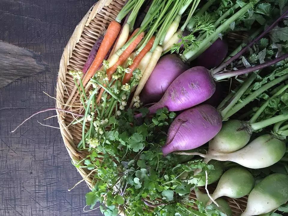 雪山下的温泉美丽,最值得去的有雪山温泉的地方