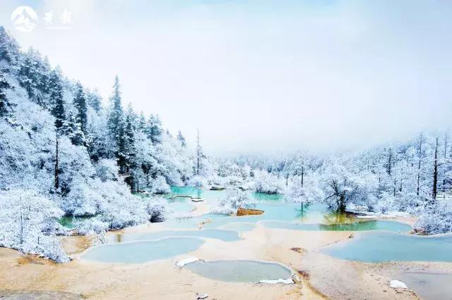 黄龙，不见则已，一见钟情