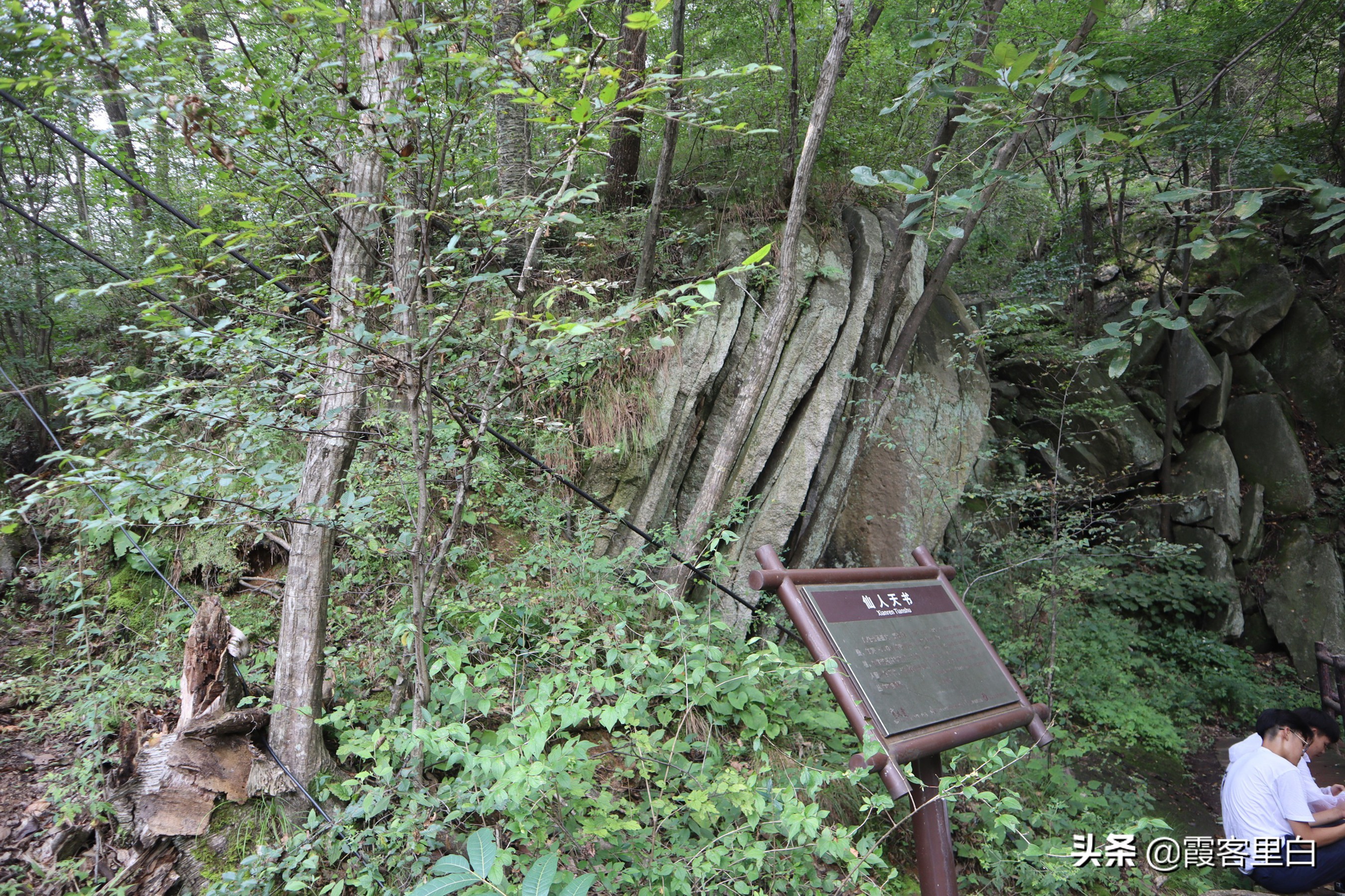 南召宝天曼旅游路线推荐,南召周边山水景区推荐景点